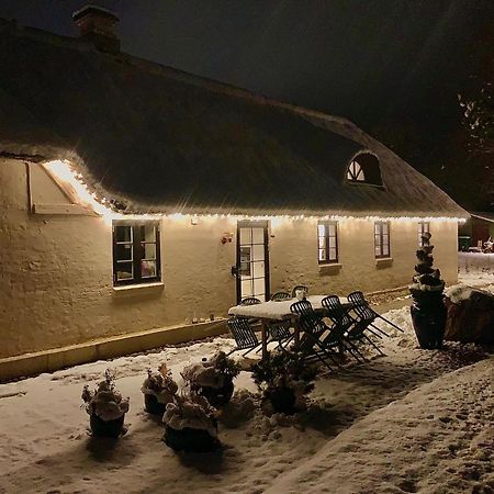 Appartamento Mindedalen - Idyl Taet Pa Alt Og Helt I Fred Billum Esterno foto