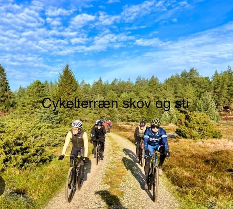 Appartamento Mindedalen - Idyl Taet Pa Alt Og Helt I Fred Billum Esterno foto