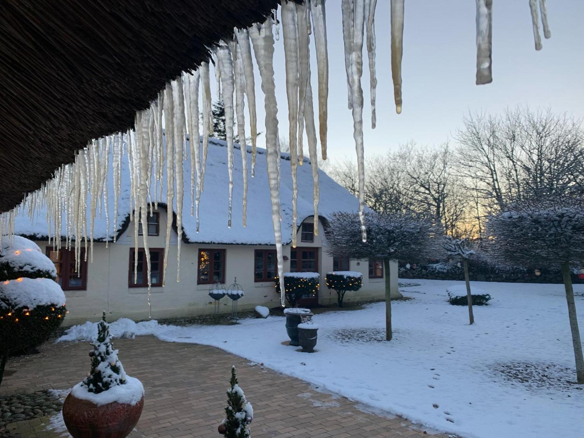 Appartamento Mindedalen - Idyl Taet Pa Alt Og Helt I Fred Billum Esterno foto