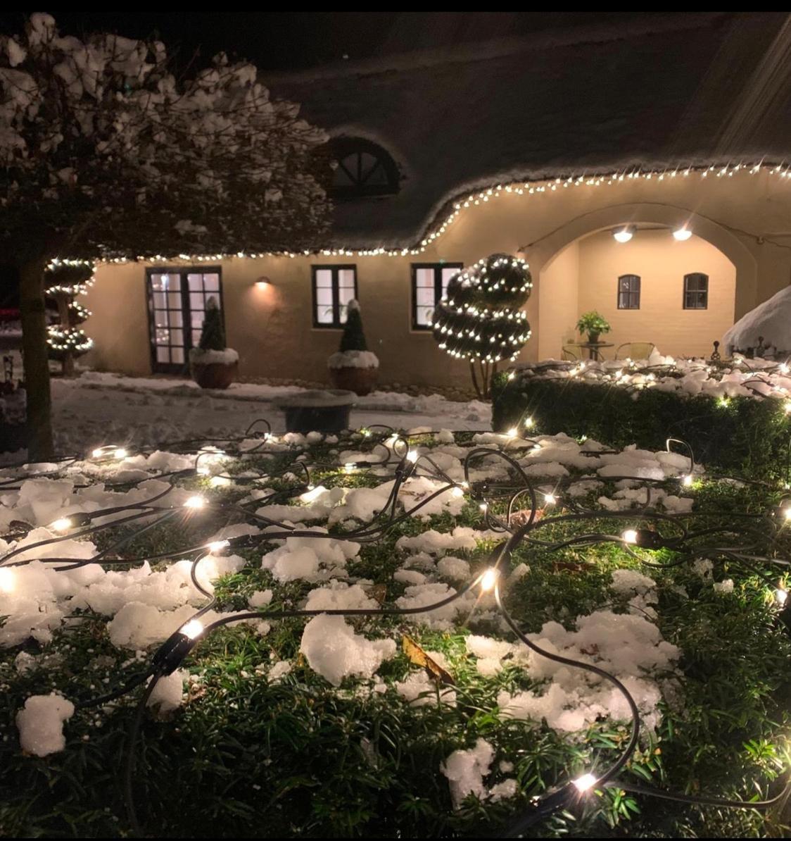 Appartamento Mindedalen - Idyl Taet Pa Alt Og Helt I Fred Billum Esterno foto