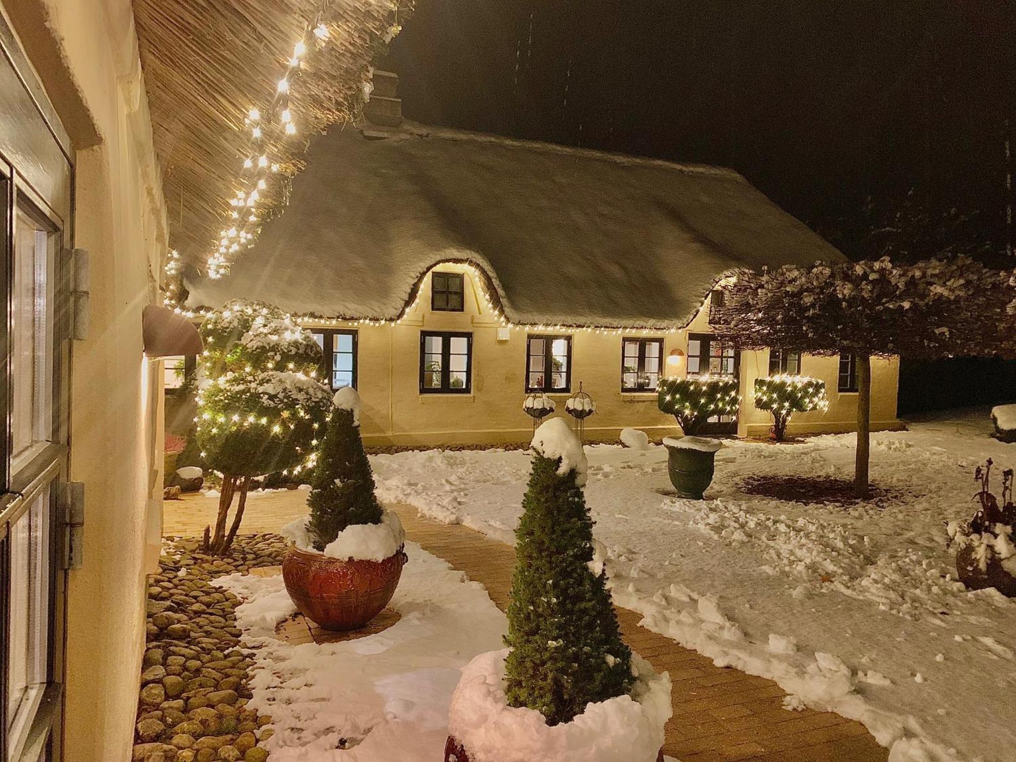 Appartamento Mindedalen - Idyl Taet Pa Alt Og Helt I Fred Billum Esterno foto
