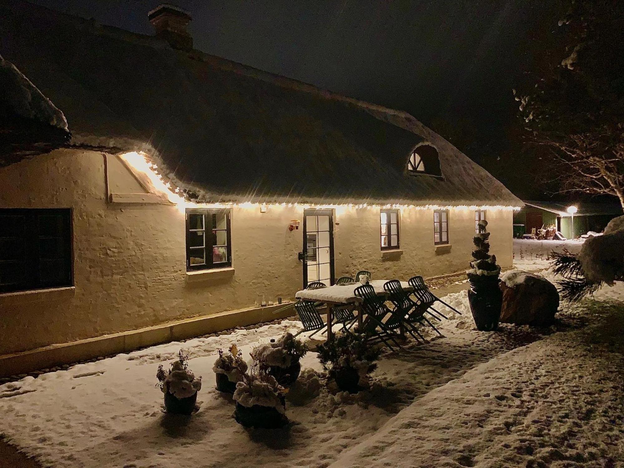 Appartamento Mindedalen - Idyl Taet Pa Alt Og Helt I Fred Billum Esterno foto