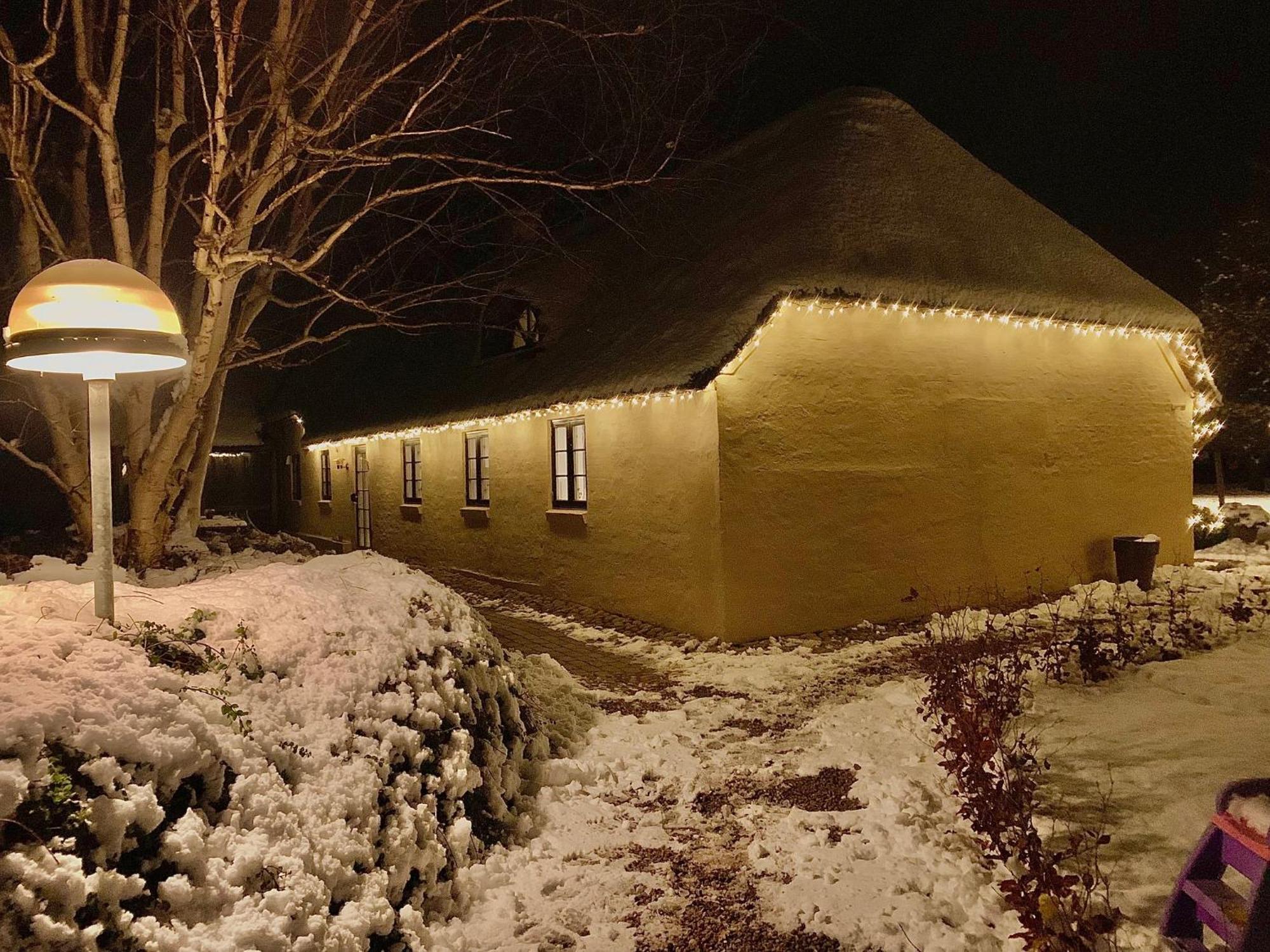 Appartamento Mindedalen - Idyl Taet Pa Alt Og Helt I Fred Billum Esterno foto